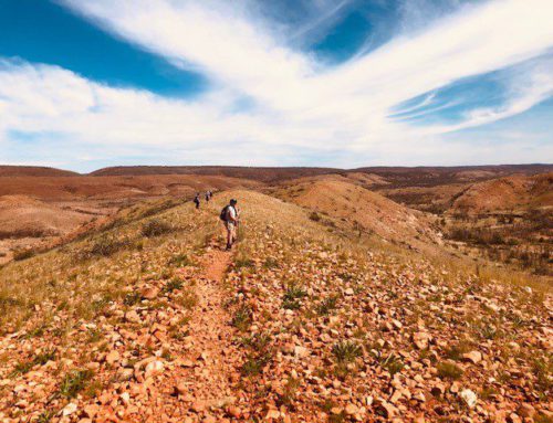 Trekking the Laraprinta Trail in the NT – May 2021